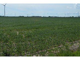 Property photo 6 - 233 +/- Acres Offered in 3 Tracts, Ohio Land Auction